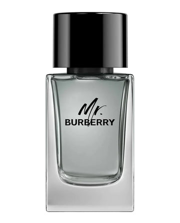 Mr. Burberry Burberry