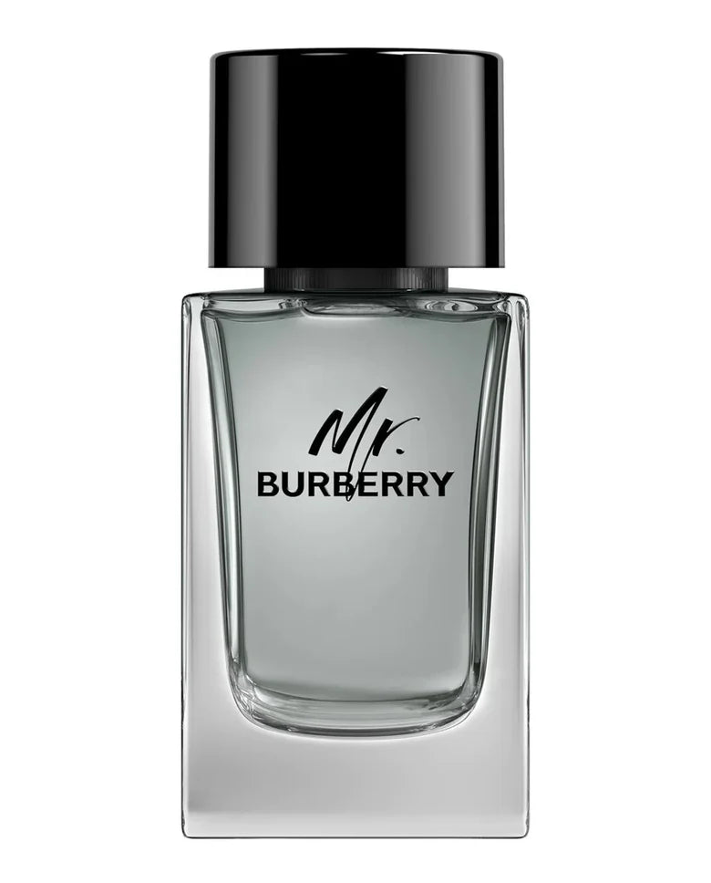 Mr. Burberry Burberry